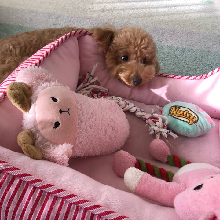 A2f0904f fc92 4571 9248 10dbf31d5710 1515717163250