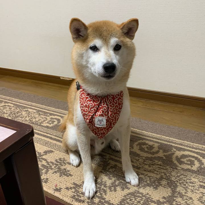 A2f092a5 fdfa 40ce bb00 1ca5d456e1ed 1661072260324