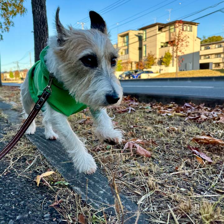 A2f0c6c4 07f4 4685 a54b 65a498b16653 1732480701194