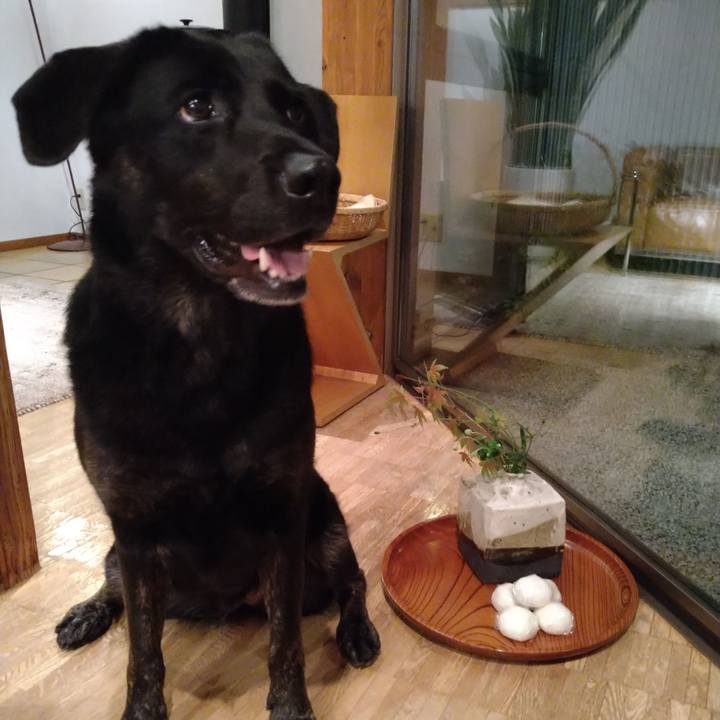 A2f0f994 0000 443a 9f4f 01eded65a8b7 1601544491600