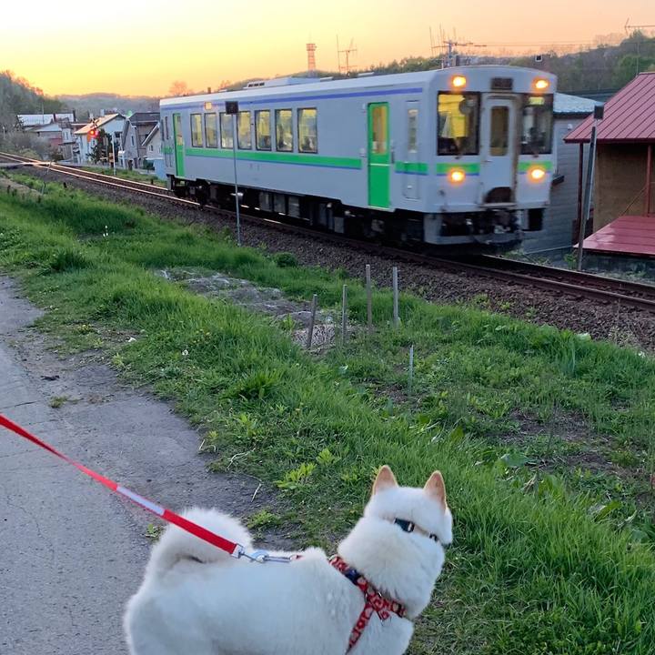 A2f13bd6 74d3 47e8 8975 33e99ea03efd 1557910579642