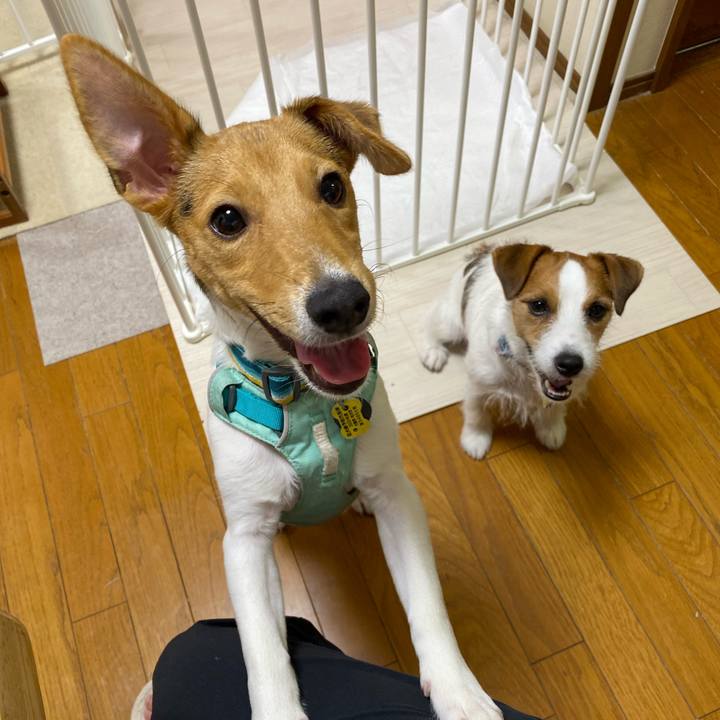 A2f151e5 eafe 4f8b 9756 c9cfaa0d8a2b 1752415098448