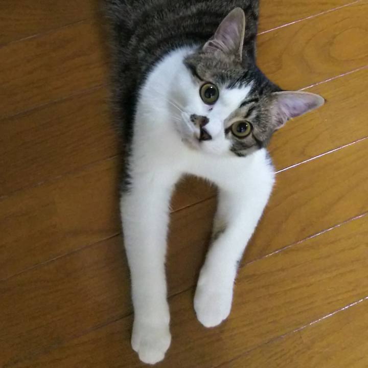 A2f1561e 7c54 4384 80d5 ed0bbedb41c0 1617436925271