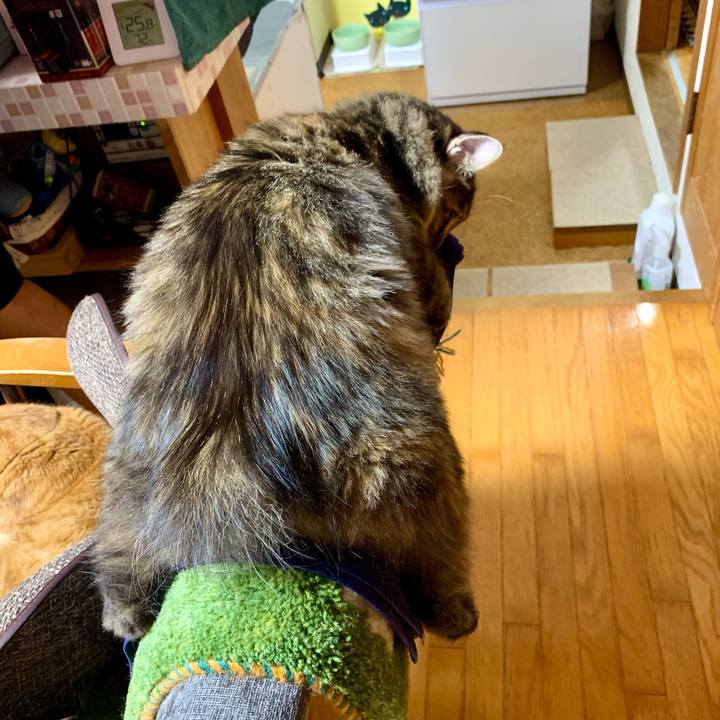 A2f17030 7b78 4056 9733 751778945be1 1655731309972