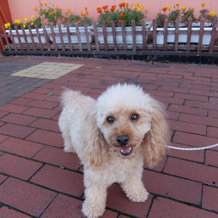 A2f19b7e babd 4be9 9a47 31fc85b14ec9 1529101426761