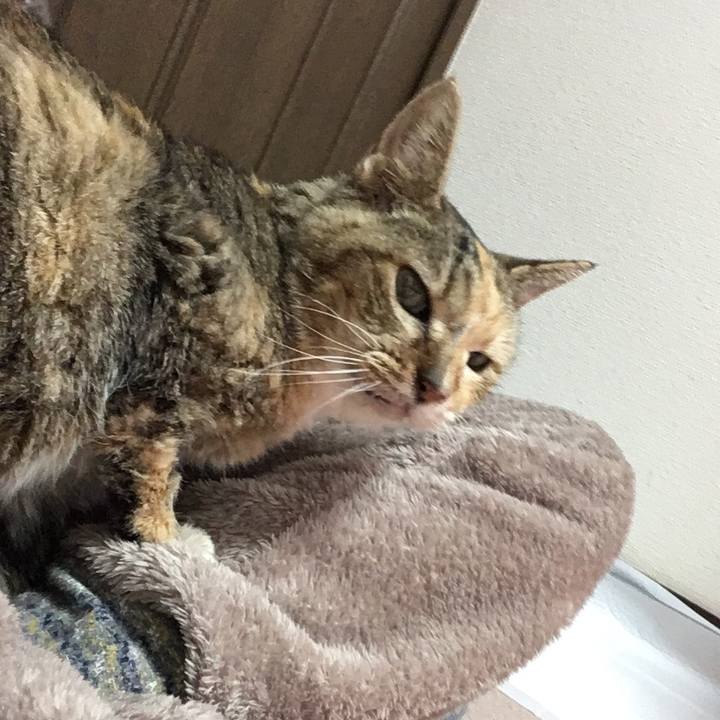 A2f19fa7 b3f7 4ea6 ba86 57e1d575c93b 1578460184085