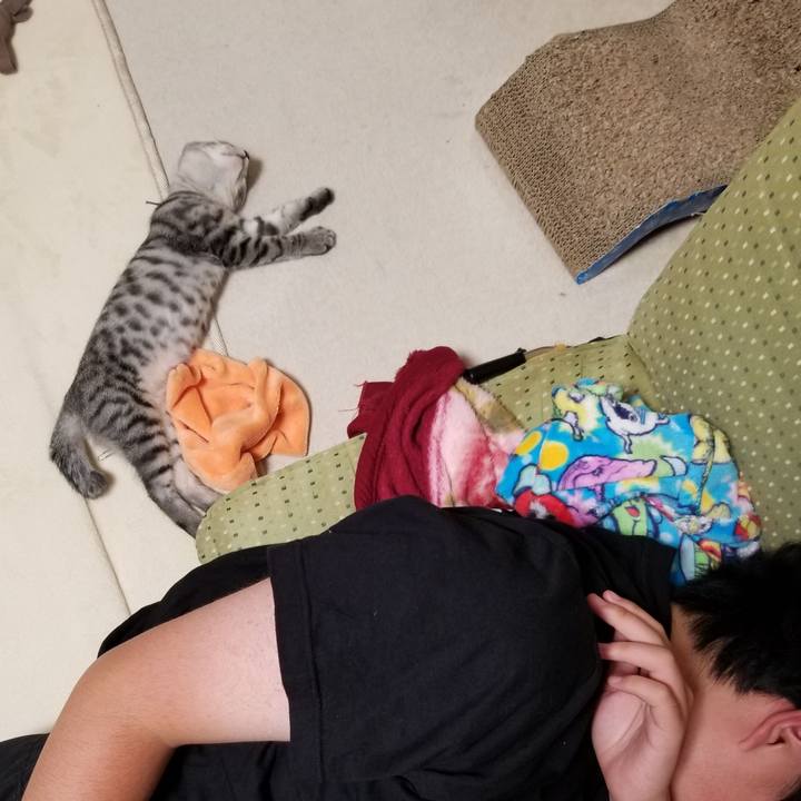 A2f19fae 0c55 4345 94bd fc5e4dc59243 1665577375352