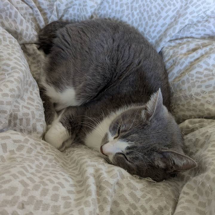 A2f1b9cf f1ff 49f6 aef7 9b9878c55f3a 1739673534609