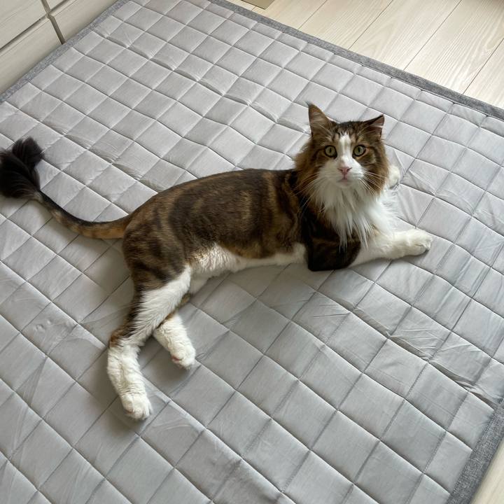 A2f1c45c a9bc 496a 9d02 f88ca8750113 1688856867574