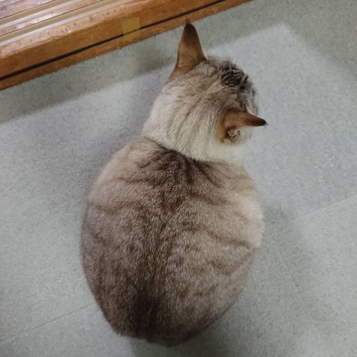 A2f1c585 b620 4731 b809 cfffe407ad09 1582195477945