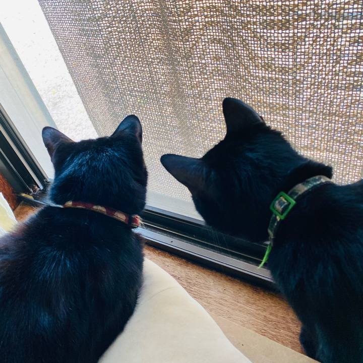 A2f1e299 10dc 451e 94c3 45d8a774517d 1684644934607