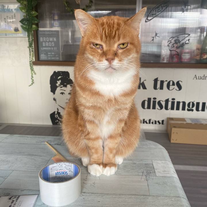 A2f208b5 a217 416e b659 24b410f1aa62 1639437762394