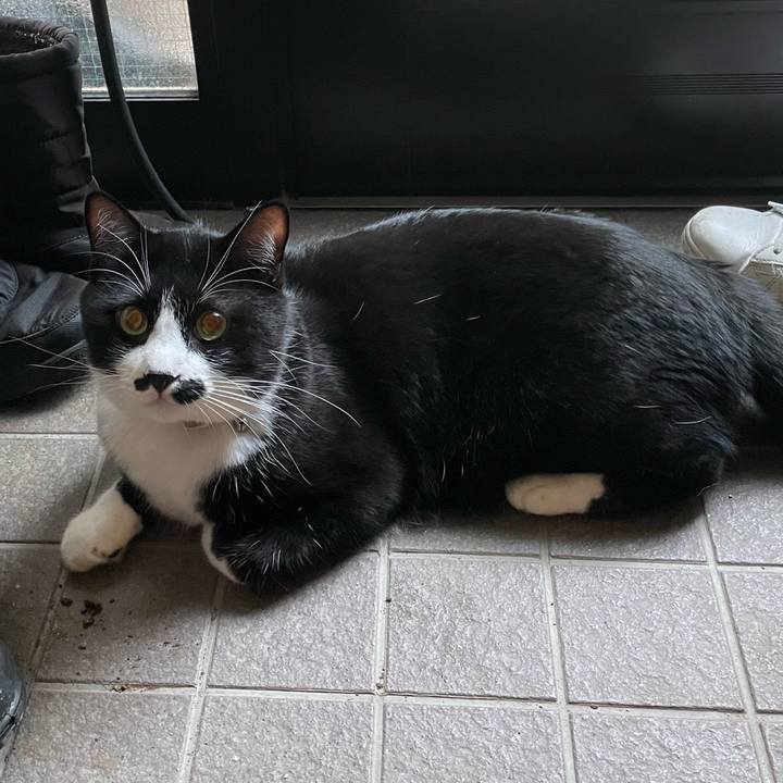 A2f210bd 3f02 4e8a 82cf fce083c55a1c 1663899199055