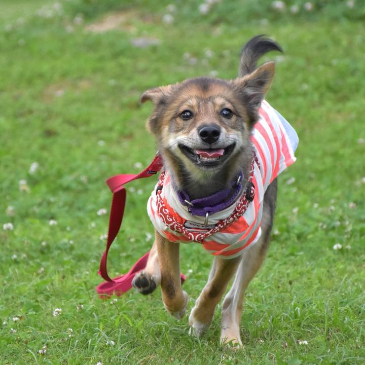 A2f23db7 c541 47ce 87d4 ed41199fa406 1528025675897