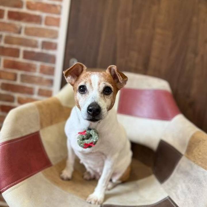 A2f25d2f 0a02 484f 8442 f2ccf220d94b 1763944702471