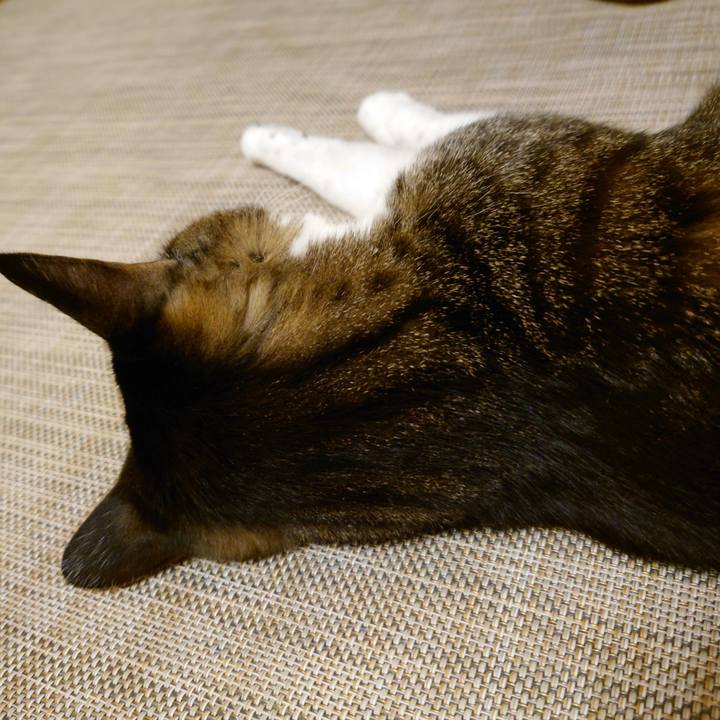 A2f2768e 0b24 4e8a 9cad c8aa76ab2753 1773105108452