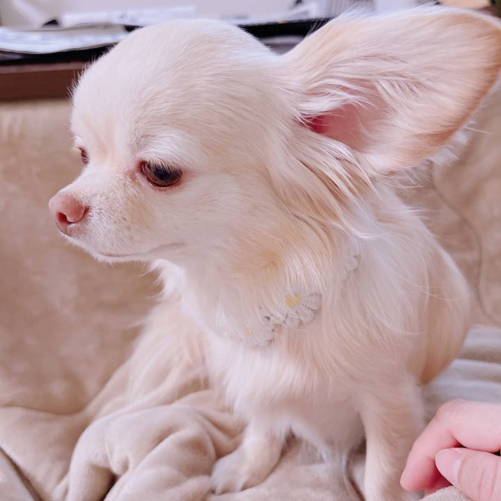 A2f2af14 0e0d 4dff ae10 18048b61a3bb 1680674314043