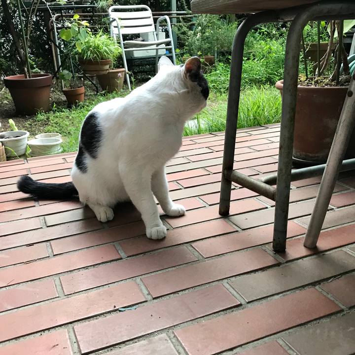 A2f2b5eb 150b 4877 818f 1b27e1be5e34 1534387562239