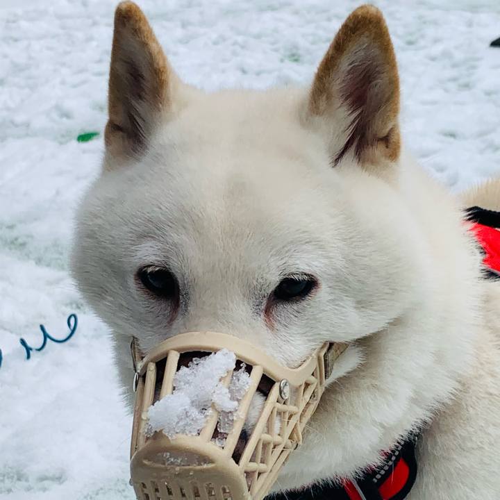 A2f2f653 b9b8 442e 8b5c 28d3b2dc00a2 1606866268517