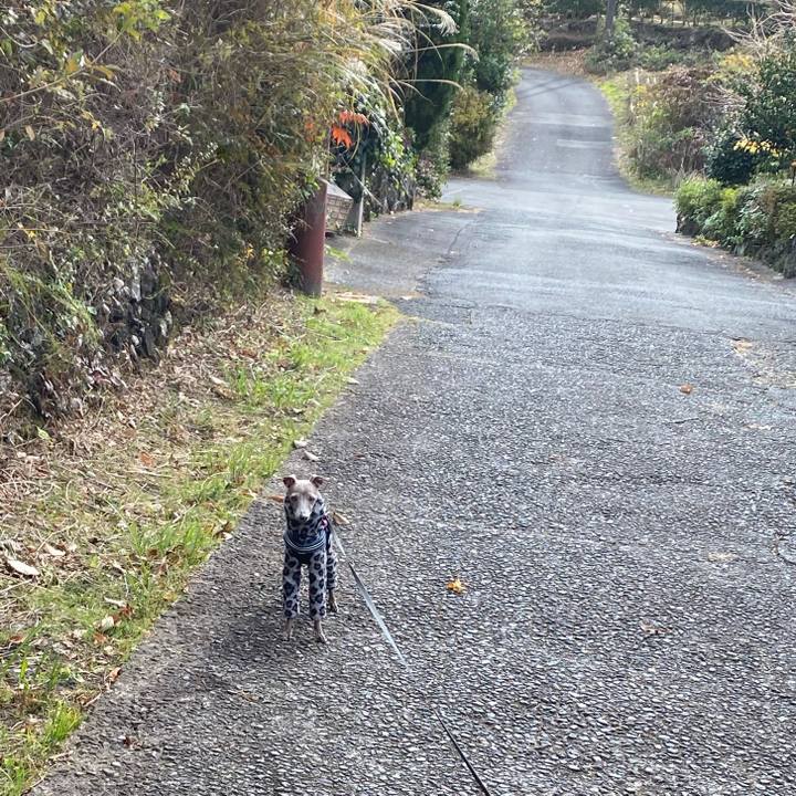 A2f2f970 f90f 4cd0 acc8 061bfa3dca1d 1765354544743