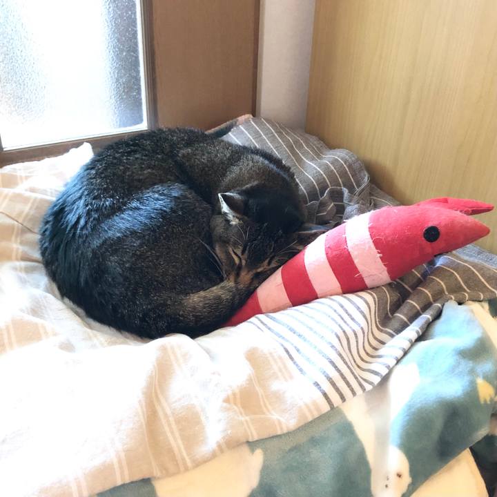 A2f3068f f226 4411 83d6 ba1aed9a7af3 1655254696858