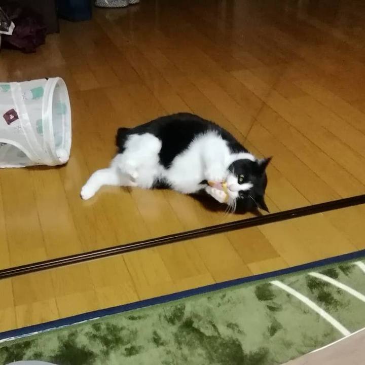 A2f33f53 dbca 4472 badf 08d0364a5e9f 1575383436247