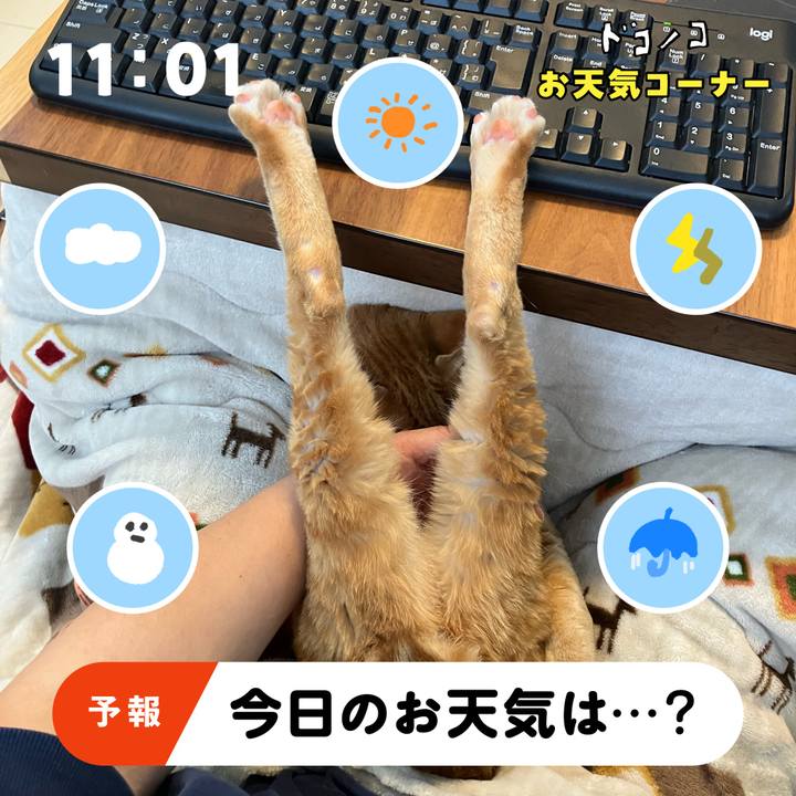 A2f3447c 8ee0 4c70 9563 85b0c25e7174 1781521678395
