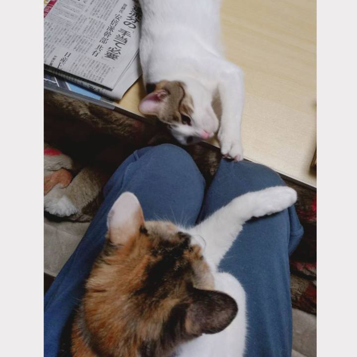 A2f34ca3 09e4 4202 a362 5be1abae0085 1710505955371