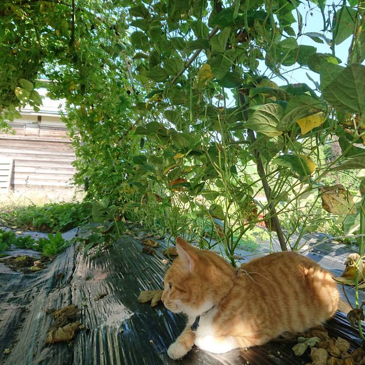 A2f3ab7f ee32 4711 aca9 b768c47e9558 1567908430361