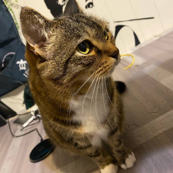 A2f41d31 638d 4f4c b4a9 82f065d3a0c9 1621686392915