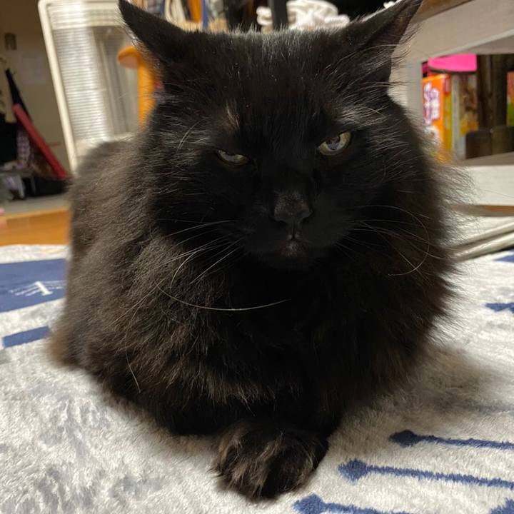 A2f4c1e1 9f41 4079 990d 687885d6d9cc 1580772748736