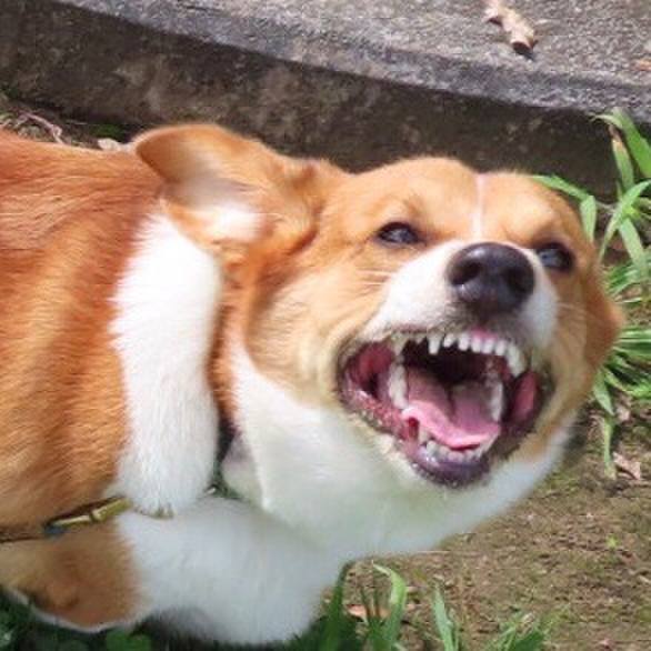 A2f4f7b2 ee2d 441d b87f e1848a0e152f 1632878500091