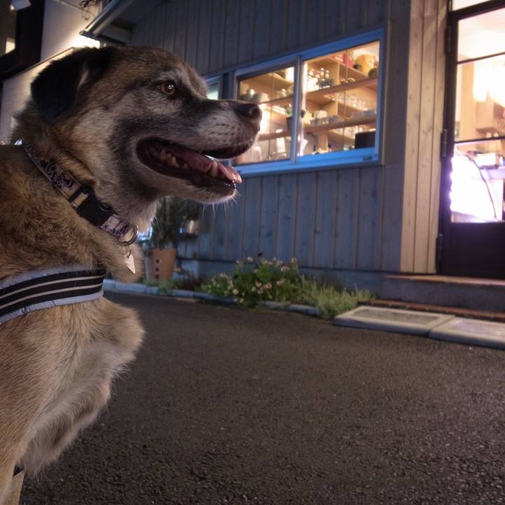 A2f54e49 7cdd 4d22 b9df 1654c6782660 1612831892330