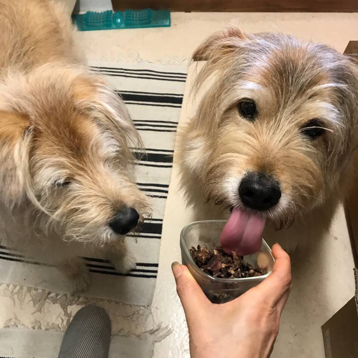 A2f54f31 aae5 4aaa aa9e 99eaa9df0c7b 1621653409345