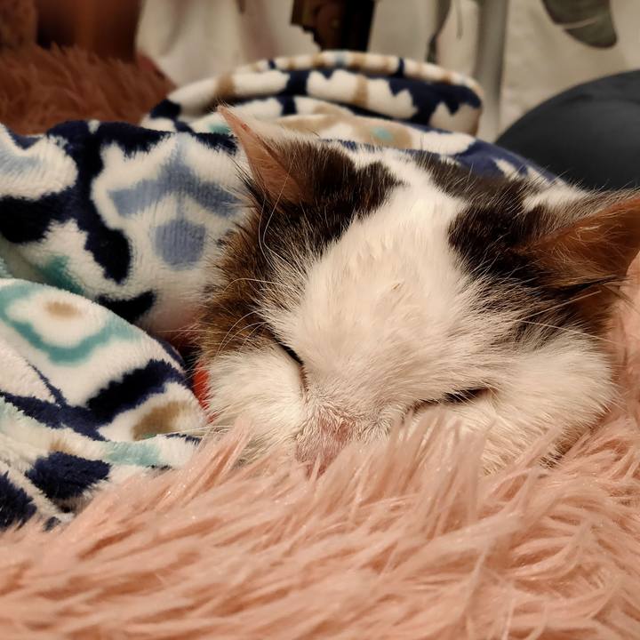 A2f555aa 53d6 4465 9a43 8f3ae32d1edc 1611234657922