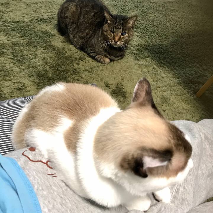 A2f58649 a091 4f63 b01f 43038977bb2a 1602399376610