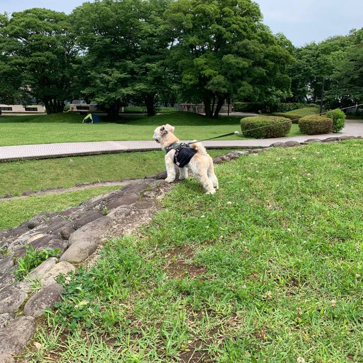 A2f593b3 a572 474f ac62 b27daddc9dca 1655632304382