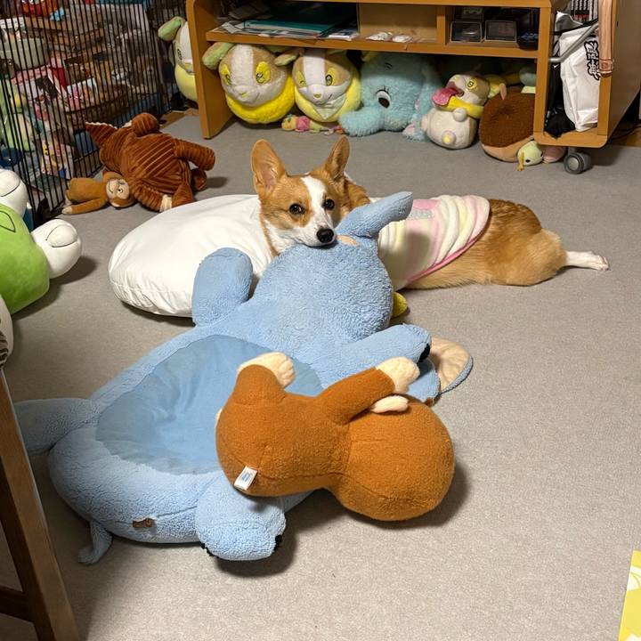 A2f5ba30 af74 4a2b bc9a 1781f5b41733 1767541044314