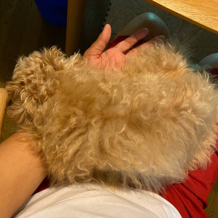 A2f5c907 2236 4155 ba3c 6ef2e422774a 1628810166386