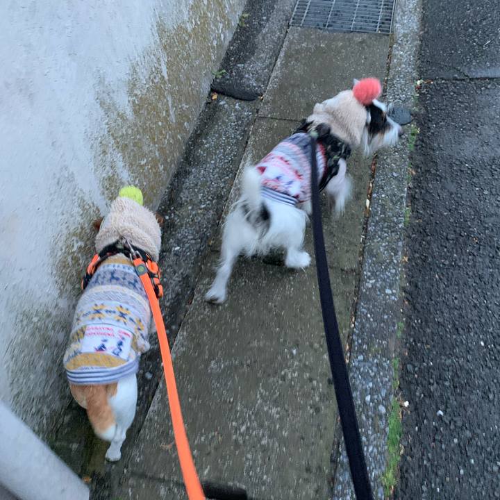 A2f5defd d0cf 4c70 8f56 7cfdb4133d16 1638264065181