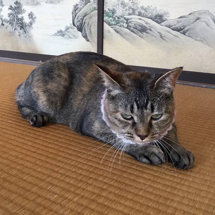 A2f612c2 2961 4255 92ba c2737805ad1c 1626997303800