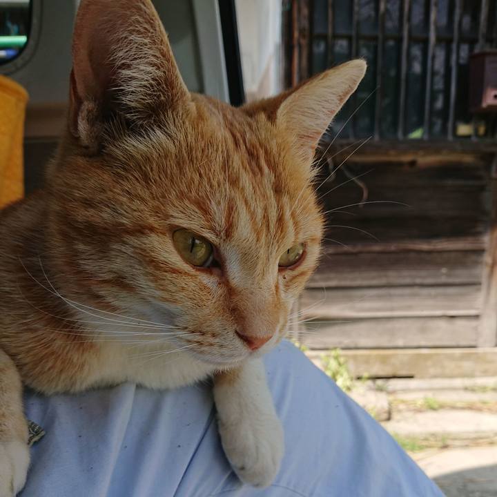 A2f64182 9b89 4e6b 9c4b 120866c9349c 1588565553057