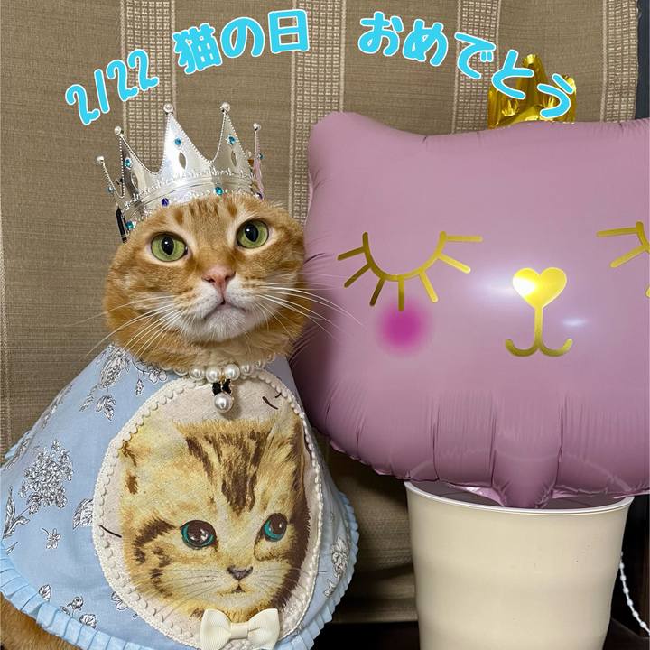 A2f6a619 d454 427c 9841 5a9993f667a6 1708564071250