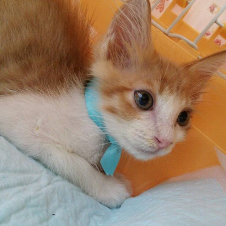 A2f73d7b bc8c 4a6f 9c54 f1c3ff08ecdf 1560869423268