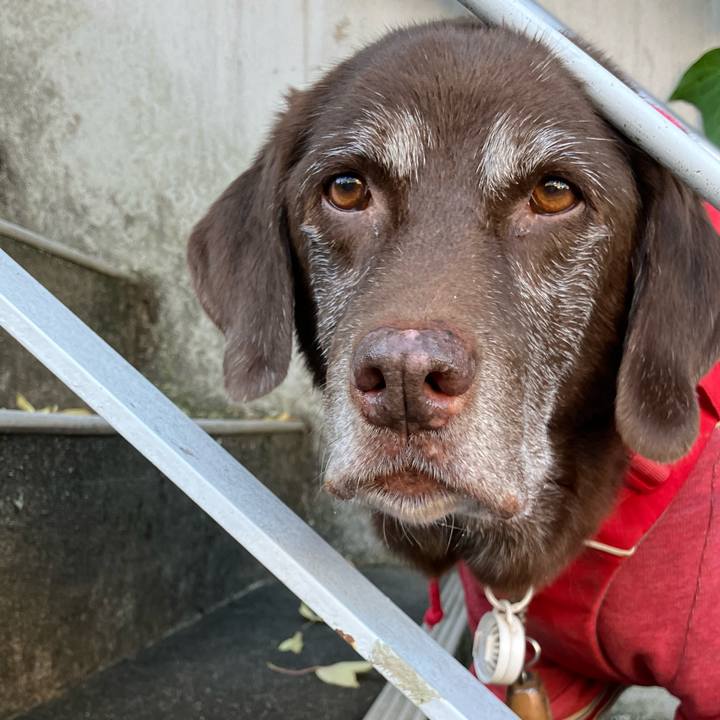 A2f77599 f5c3 4bed 8097 126270e894ce 1762127088519