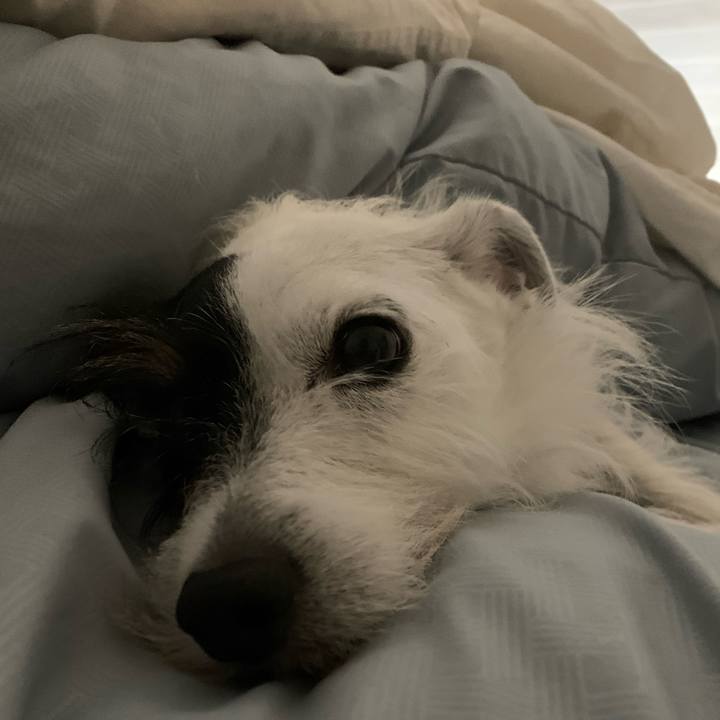 A2f79f20 2814 4a41 8ad5 67fb27f6c6e1 1659881786114