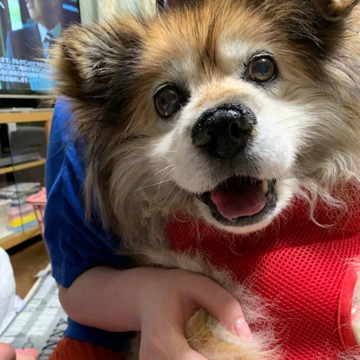 A2f7a2ca 2180 47a6 8ffc 0ad6d9928664 1560295522471