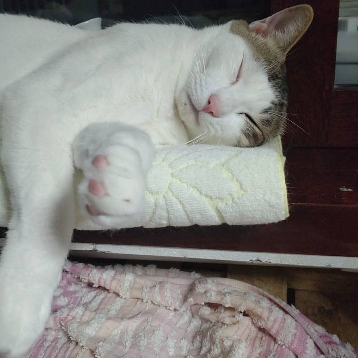 A2f7d6b6 8751 42eb af93 cf03cb9ae33b 1735471629141