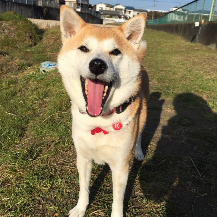 A2f814d4 09ca 4f9e be32 1463074e9475 1515544963723