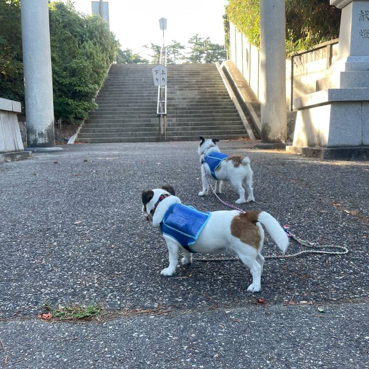 A2f8329b 7bdc 4cc9 8dea 8bd5446e0c60 1753656841641